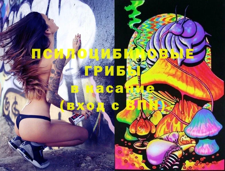 Псилоцибиновые грибы Psilocybe  Гусев 